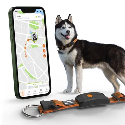Weenect Pet GPS Tracker XT para perros