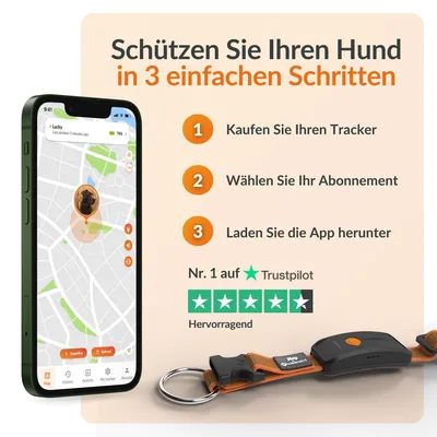 Weenect Haustier GPS Tracker XT für Hunde
