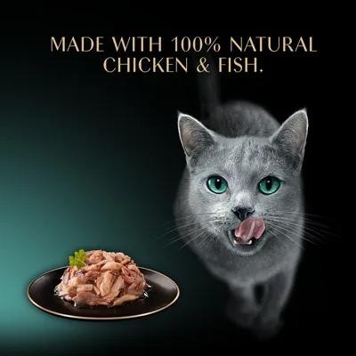 Sheba Fillets in Gravy Trays Multibuy