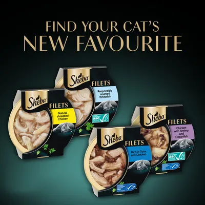 Sheba Fillets in Gravy Trays Multibuy