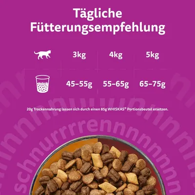 Whiskas 1+ Duo Classic Combos Lamm & Truthahn