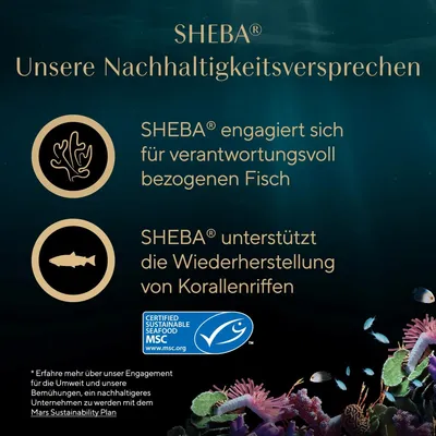 Sparpaket Sheba Filets 36 x 60 g