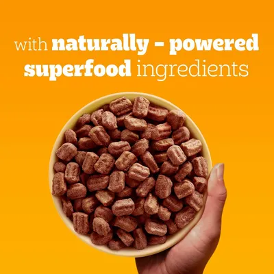 PEDIGREE® COMPLETE™ Senior Poultry & Vegetables