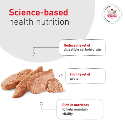 Science-based health nutrition. Reduced content of digestible carbohydrates, high protein content, rich in nutrients to support vitality. Science-based health nutrition. Reduced content of digestible carbohydrates, high protein content, rich in nutrients to support vitality.