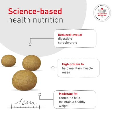 Science-based health nutrition. Reduced content of digestible carbohydrates, high protein content to maintain muscle mass, moderate fat content for a healthy weight. Kibble size approx. 1 cm. Science-based health nutrition. Reduced content of digestible carbohydrates, high protein content to maintain muscle mass, moderate fat content for a healthy weight. Kibble size approx. 1 cm.