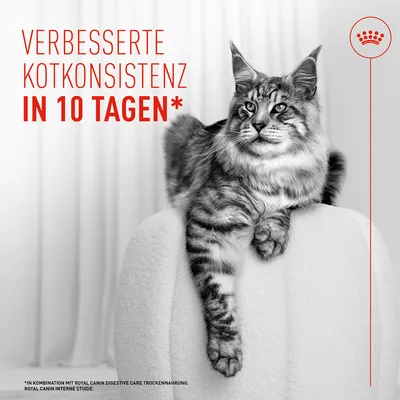 Royal Canin Digestive Care AirLift Mousse