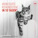 Royal Canin Digestive Care AirLift Mousse