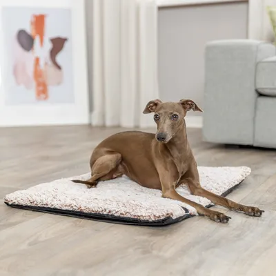 Trixie Tapis chauffant pour chien et chat Calida, blanc-brun Trixie Tapis chauffant pour chien et chat Calida, blanc-brun