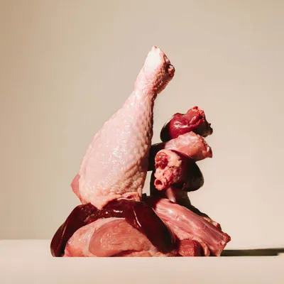 Verschiedene rohe Fleischstücke, darunter Geflügel und Innereien, als Zutaten für Tiernahrung dargestellt. Verschiedene rohe Fleischstücke, darunter Geflügel und Innereien, als Zutaten für Tiernahrung dargestellt.