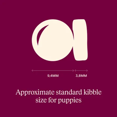 Carnilove True Fresh Puppy s kačacím