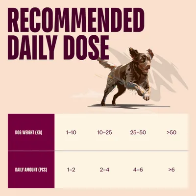Carnilove Dog Jerky Snack