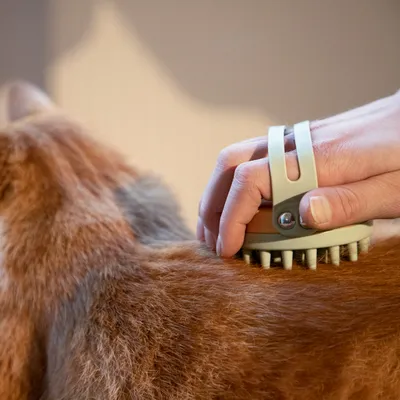 Ruka drži četku s plastičnim zupcima i češlja krzno narančaste mačke. Vidljiva je ručka četke i detalji dlake životinje.