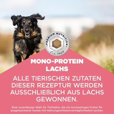 Eukanuba Special Care Mono-Protein Adult mit Lachs
