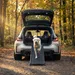 4pets koiranramppi EasySteps