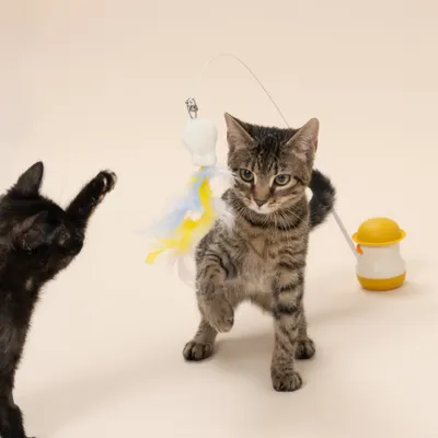 Caña de mesa Tiaki Pato con catnip juguete para gatos - 1 unidad Caña de mesa Tiaki Pato con catnip juguete para gatos - 1 unidad