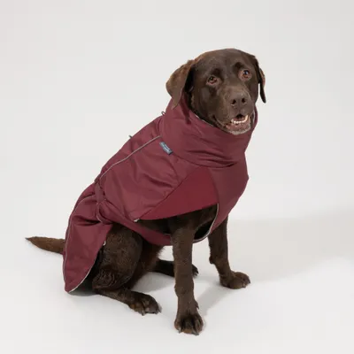 Nomad Tales Spirit Softshell-Hundemantel, burgunderrot Nomad Tales Spirit Softshell-Hundemantel, burgunderrot