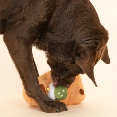 TIAKI Hundespielzeug Matcha Capibara
