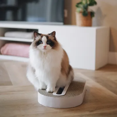 District 70 Scratch Furniture Track