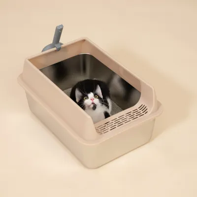 TIAKI Katzentoilette aus rostfreiem Stahl - silber TIAKI Katzentoilette aus rostfreiem Stahl - silber