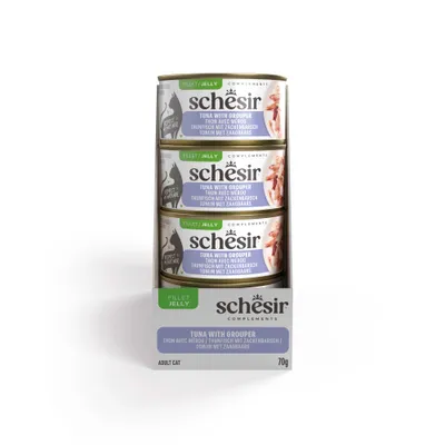 Schesir Complements in Gelee 12 x 70 g