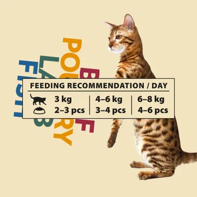 Sparpaket PrimaCat Classic in Soße 48 x 85 g