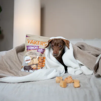 YAKERS Crunchy Bites - Peanut Butter (70g) YAKERS Crunchy Bites - Peanut Butter (70g)