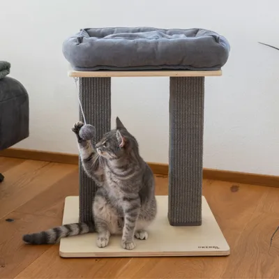 Tiragraffi Kerbl Pet Noah I Tiragraffi Kerbl Pet Noah I