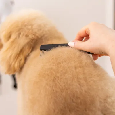 Wahl Grooming Comb hundkam Wahl Grooming Comb hundkam