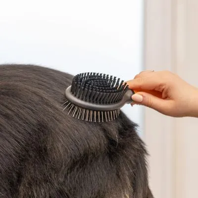 WAHL® Spazzola 2 in 1 per toelettatura