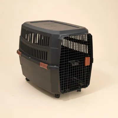 TIAKI caisse de transport avec roulettes, noire - Taille XL : L 102 x l 71 x H 67 cm TIAKI caisse de transport avec roulettes, noire - Taille XL : L 102 x l 71 x H 67 cm