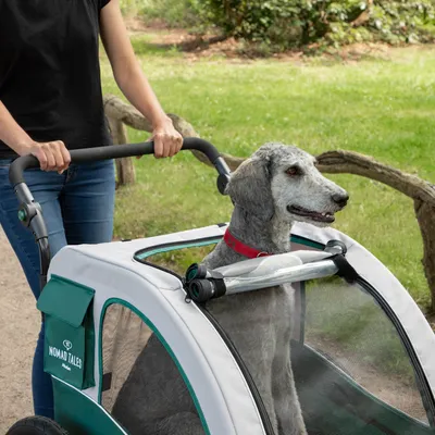 Hund sitzt in einem weissen und grünen Hundewagen mit Netzabdeckung, Marke Nomad Tales. Person schiebt den Wagen auf einem Weg im Park.