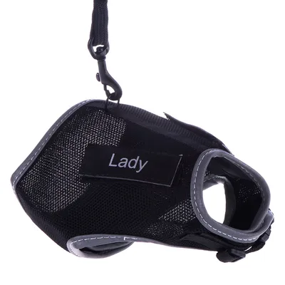 Sort hundesele i netmateriale med grå kant og påsyet mærke med teksten 'Lady'. Sele med kliklås og snor fastgjort i metalring.