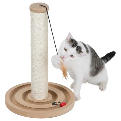 Kratzbaum mit Sisal-Säule, Holzsockel mit Spielschiene und rotem Ball. Katze spielt mit Feder an Schnur.