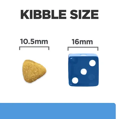 Kibble size comparison showing a piece of kibble measuring 10.5mm next to a blue die measuring 16mm.