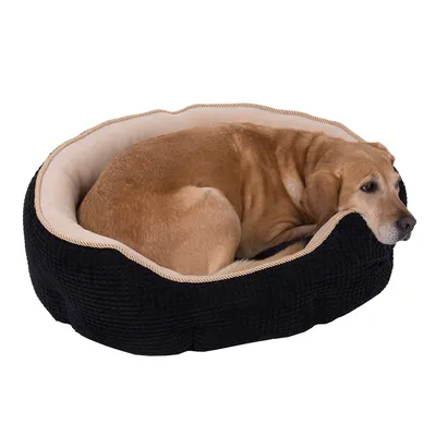 Brun hund ligger i en oval, sort hundeseng med beige indvendigt for.