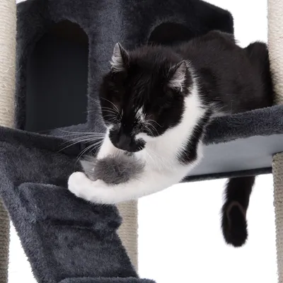Zwart-witte kat speelt op een grijze krabpaal met pluche oppervlak en sisalstammen.