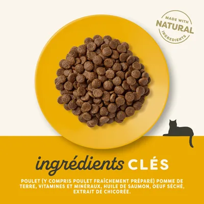 Ingrédients principaux : poulet (y compris poulet fraîchement préparé), patate, vitamine et minéraux, huile de saumon, œuf séché, extrait de chicorée. Préparé avec des ingrédients naturels. Ingrédients principaux : poulet (y compris poulet fraîchement préparé), patate, vitamine et minéraux, huile de saumon, œuf séché, extrait de chicorée. Préparé avec des ingrédients naturels.