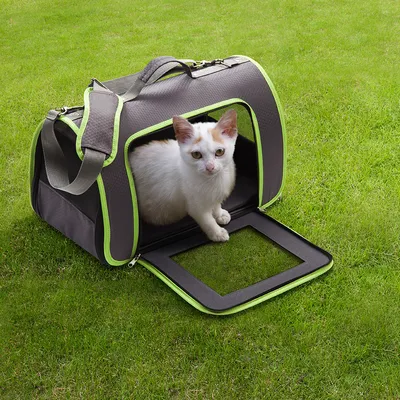 Trasportino morbido grigio con bordi verdi, apertura frontale e tracolla regolabile, con un gatto bianco all'interno. Il trasportino è posato su prato verde.