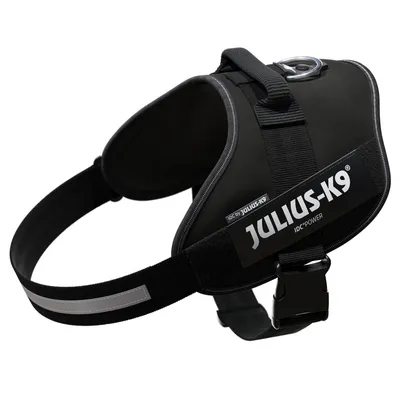 Black Julius-K9 IDC Power harness with reflective strip and sturdy fastener.