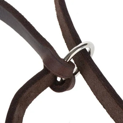 Gros plan sur une sangle en cuir marron avec un anneau métallique argenté, partie d’un harnais ou collier pour animal. Matériaux visibles : cuir et métal.