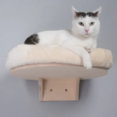 Plateforme murale ronde en bois clair avec coussin beige, montrée avec un chat allongé dessus. Support mural visible sous la plateforme.