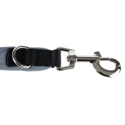 Nahaufnahme eines silbernen Karabinerhakens mit schwarzem Nylonband und Metallring, geeignet für Hundeleinen oder Zubehör.