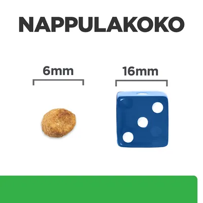 Nappulakoko: vasemmalla nappula 6 mm, oikealla sininen noppa 16 mm vertailun vuoksi. Teksti 'NAPPULAKOKO' ylhäällä.