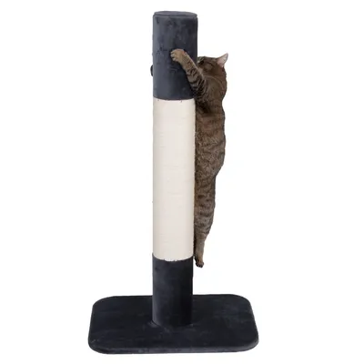 Griffoir pour chat avec base rectangulaire noire, poteau recouvert de sisal beige et tissu noir, chat tigré accroché au poteau vertical.