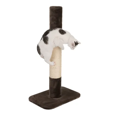 Котка върху вертикален стълб за драскане с основа и горна част от кафяв плат, средната част е обвита със светъл сизал.