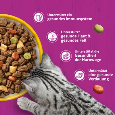 Whiskas 1 +, poulet pour chat