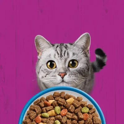 Whiskas 1+ Adult, thon