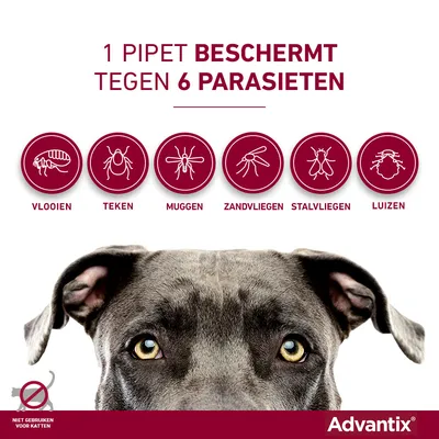 1 pipet beschermt tegen 6 parasieten: vlooien, teken, muggen, zandvliegen, stalvliegen, luizen. Niet gebruiken voor katten. Advantix merknaam zichtbaar.