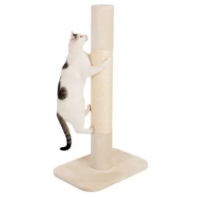 Cat tree with beige sisal post and base plate, cat climbing on the post.