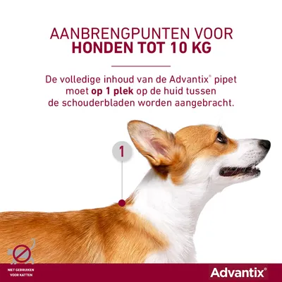 Aanbrengpunt Advantix voor honden tot 10 kg: volledige inhoud op 1 plek tussen de schouderbladen aanbrengen. Niet gebruiken voor katten. Advantix merknaam zichtbaar.